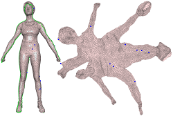 Results from globally injective parameterization with positional constraints